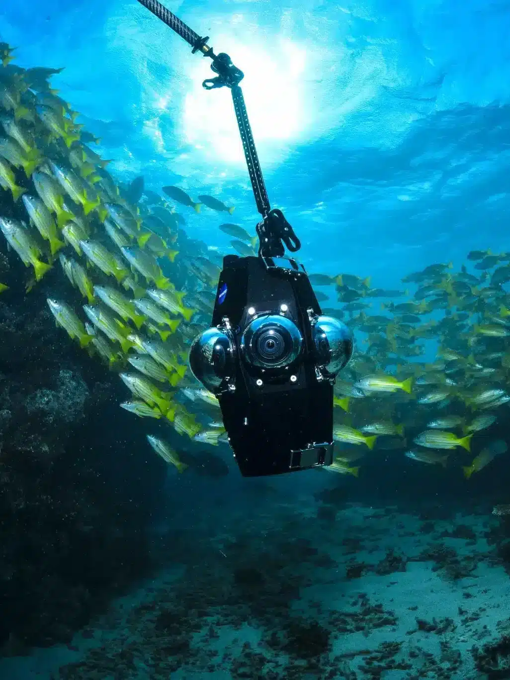 Immersion Nouvelle-Calédonie