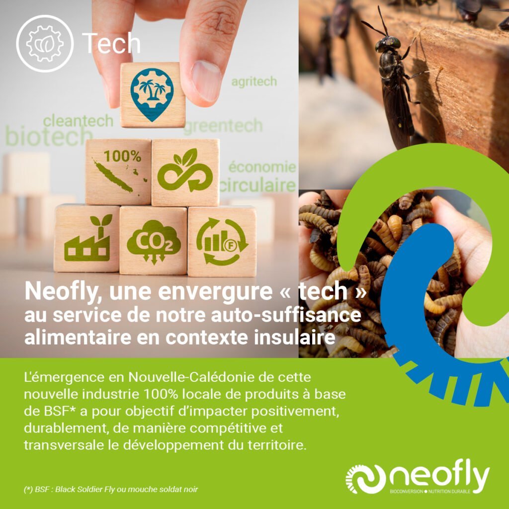NEOFLY