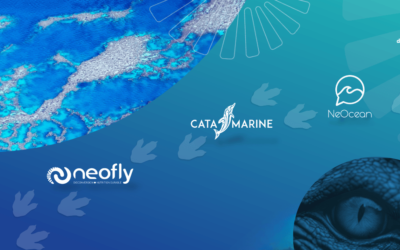 Le retour du TIREX#2 : l’innovation TI NC fait sa rentrée