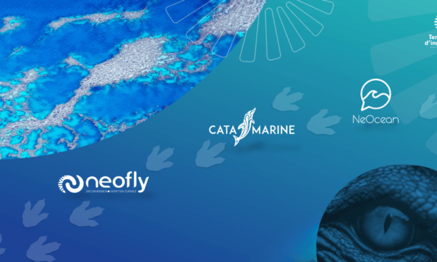 Le retour du TIREX#2 : l’innovation TI NC fait sa rentrée