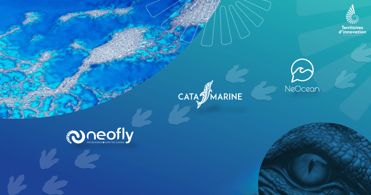 Le retour du TIREX#2 : l’innovation TI NC fait sa rentrée